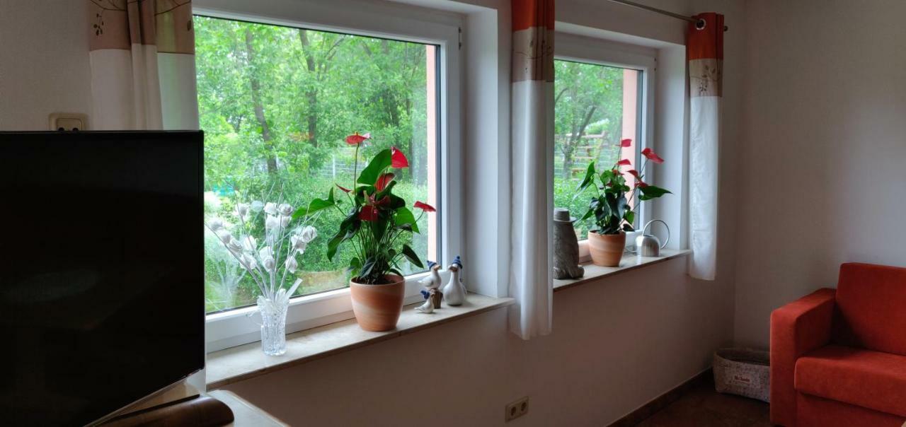 שורפהייד Ferienwohnungen Am Werbellinsee מראה חיצוני תמונה